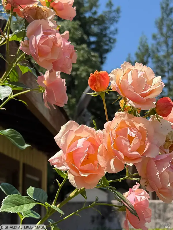 1927 Marsh Road, Santa Rosa, CA 95403