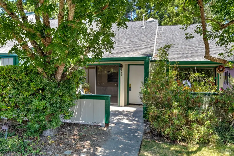 539 Norlee Street, Sebastopol, CA 95472 - #2