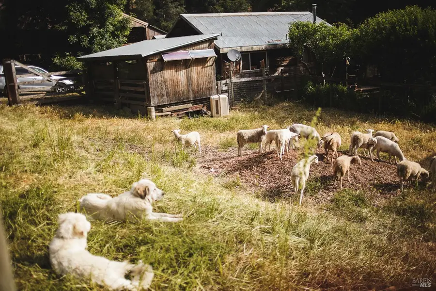 210 Road To Ranches, Nicasio, CA 94946 - #3