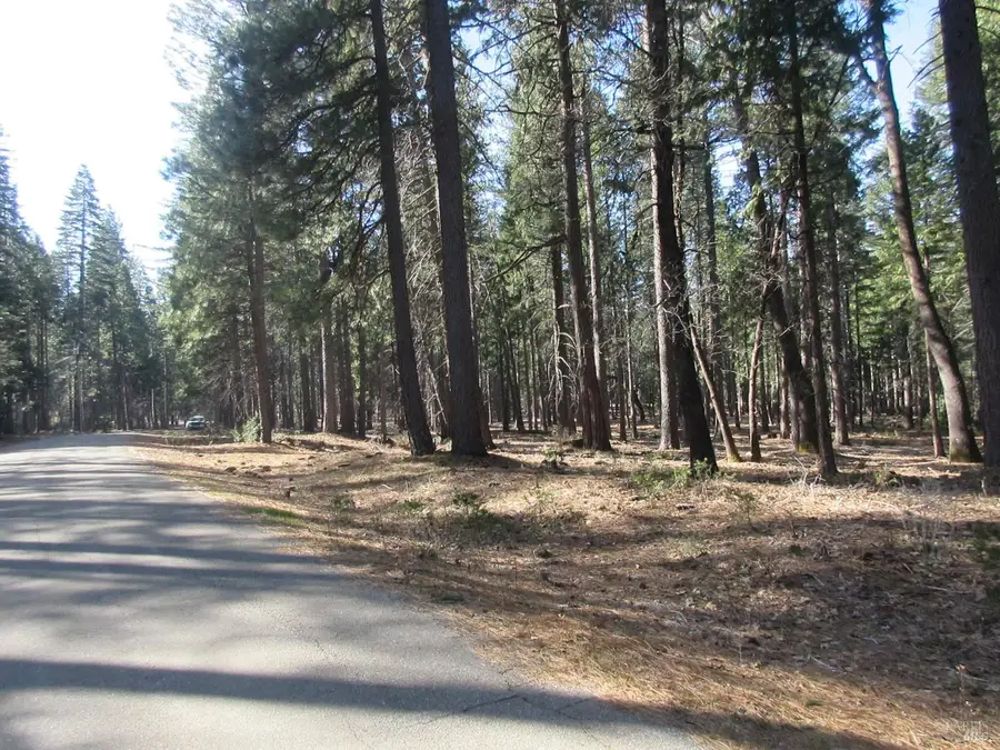3 Acres Woodridge Drive, Shingletown, CA 96088 - #3