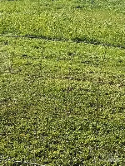 0 Theresa Avenue, American Canyon, CA 94503 - Image #3