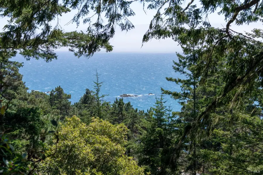 46900 Gypsy Flat Road, Gualala, CA 95445 - #3