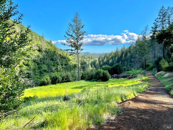 2095 Mark West Springs Road, Santa Rosa, CA 95404