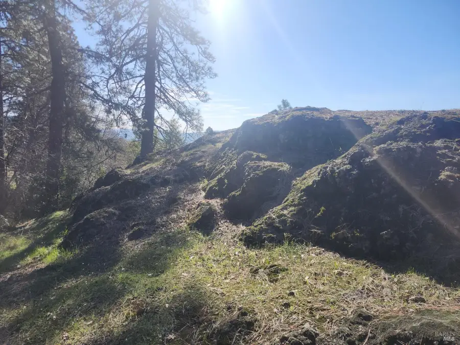 4300 Spyrock Road, Laytonville Leggett, CA 95585 - #3