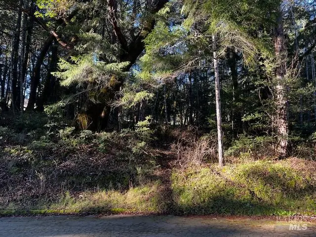 24419 Cypress Drive, Willits, CA 95490 - #1