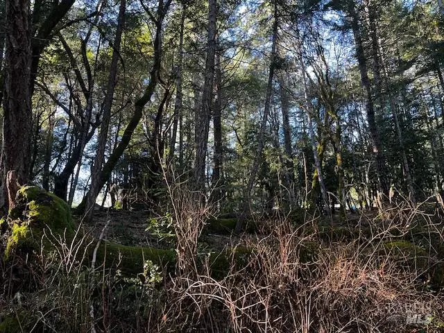 24419 Cypress Drive, Willits, CA 95490 - #3