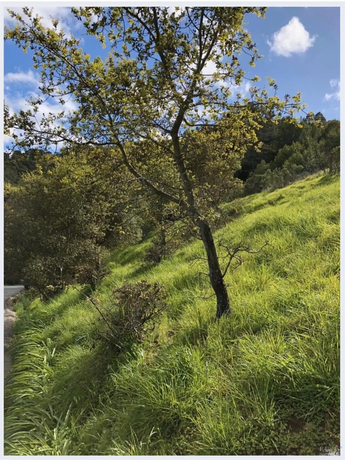 0 Coleman Drive, San Rafael, CA 94901 - #1