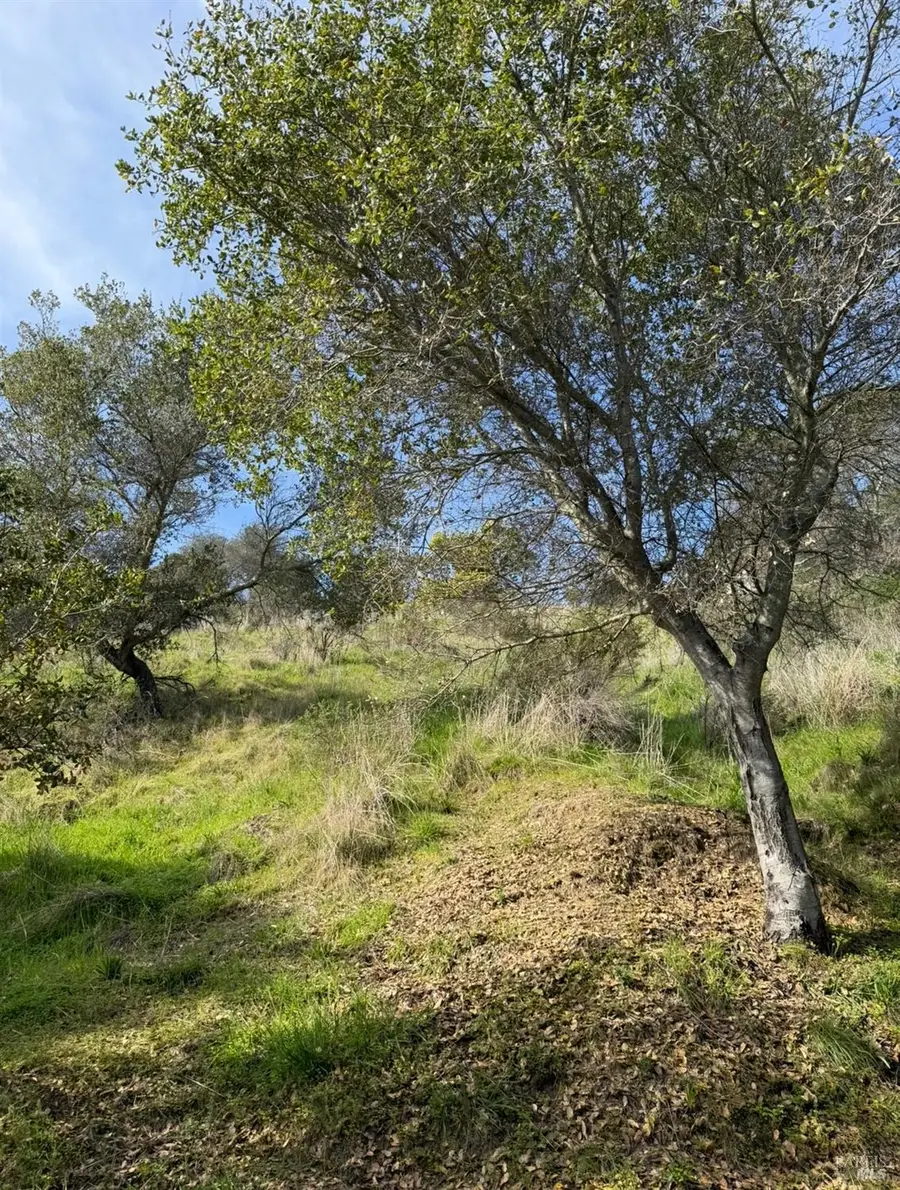 0 Coleman Drive, San Rafael, CA 94901 - #2