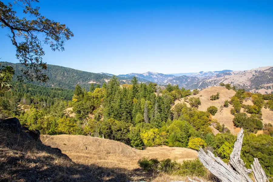 7721 Simmerly Ranch Road, Laytonville, CA 95454 - #3