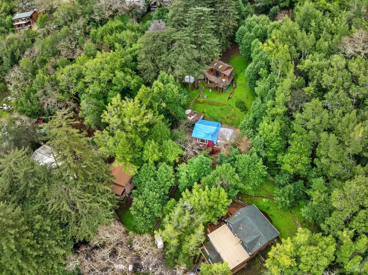 155 Forrest Avenue, Fairfax, CA 94930 - #1