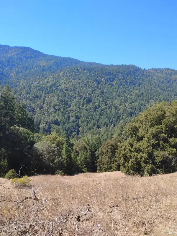 4100 Hansen Ranch Road, Piercy, CA 95587