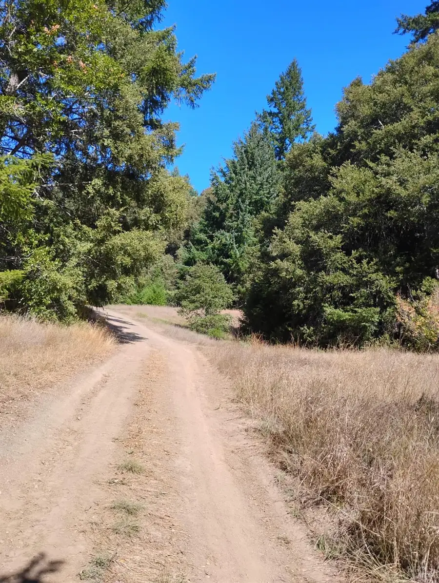 4100 Hansen Ranch Road, Piercy, CA 95587 - #3