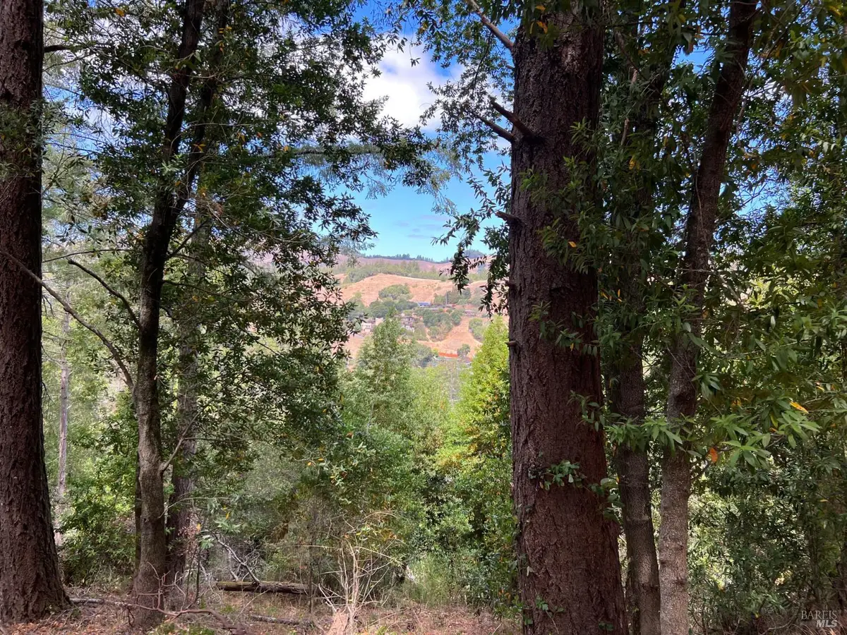 0 Laurel Avenue, Woodacre, CA 94973 - #1