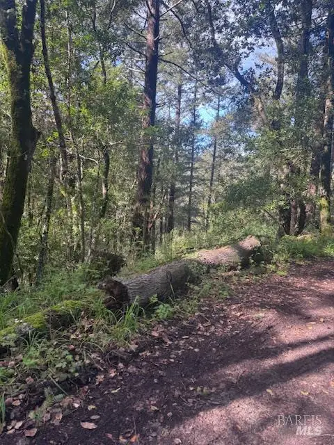 0 Laurel Avenue, Woodacre, CA 94973 - #2