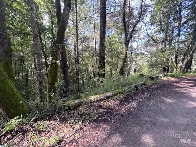 0 Laurel Avenue, Woodacre, CA 94973 - #3