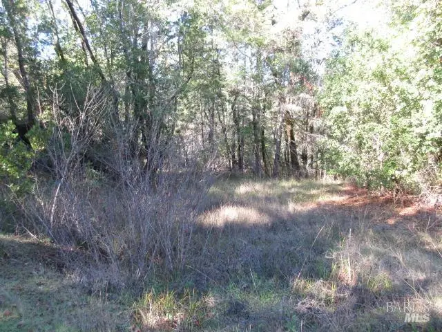 20515 Fort Ross Road, Cazadero, CA 95421 - #2