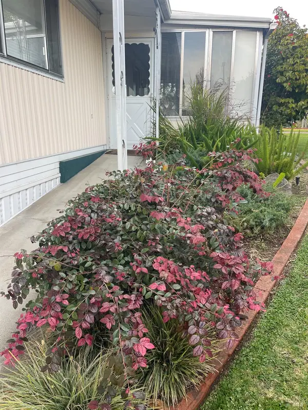 314 Janero Place, Sonoma, CA 95476