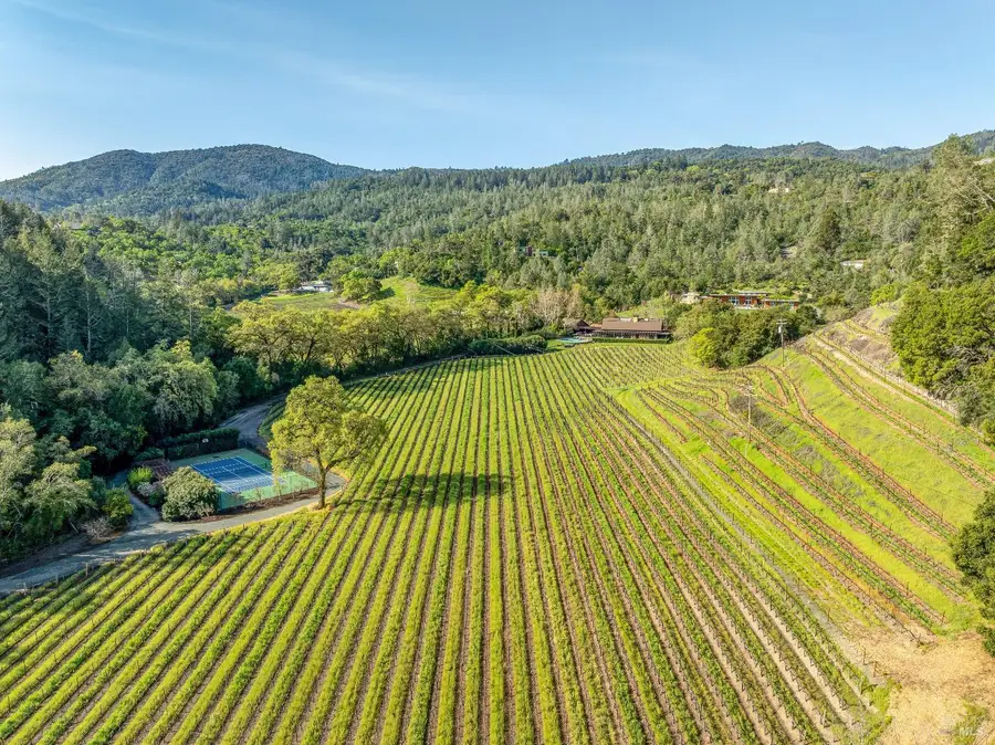1626 Whitehall Lane, Saint Helena, CA 94574 - #3