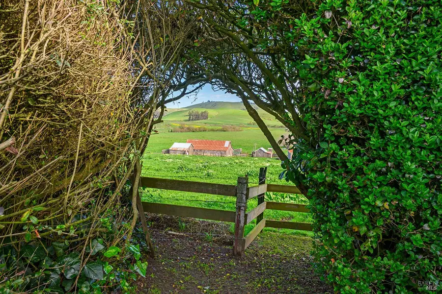 14550 Valley Ford Estero Road, Valley Ford, CA 94972 - #3