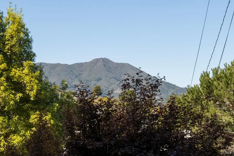 476 Wellesley Avenue, Mill Valley, CA 94941 - #3