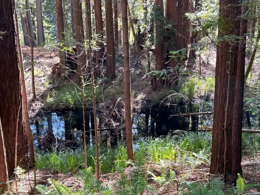 39700 Eureka Hill Road, Point Arena, CA 95468 - #3