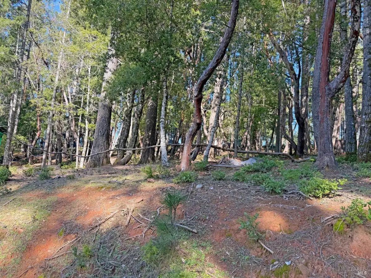 28140 Poppy Drive, Willits, CA 95490 - #1