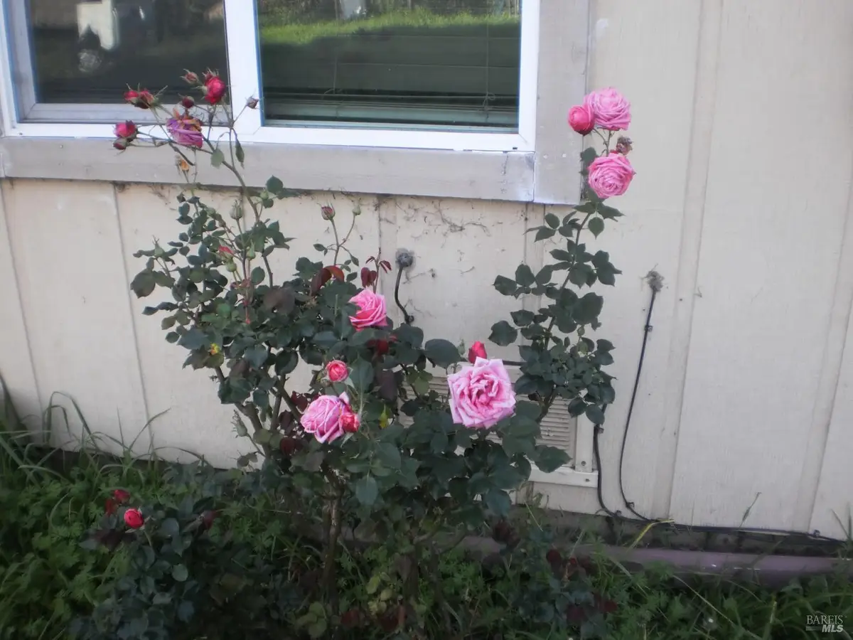 1911 Corby Avenue, Santa Rosa, CA 95407 - #1