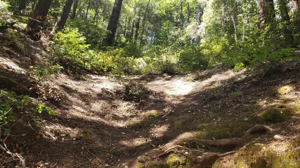 18190 Old Monte Rio Road, Guerneville, CA 95446