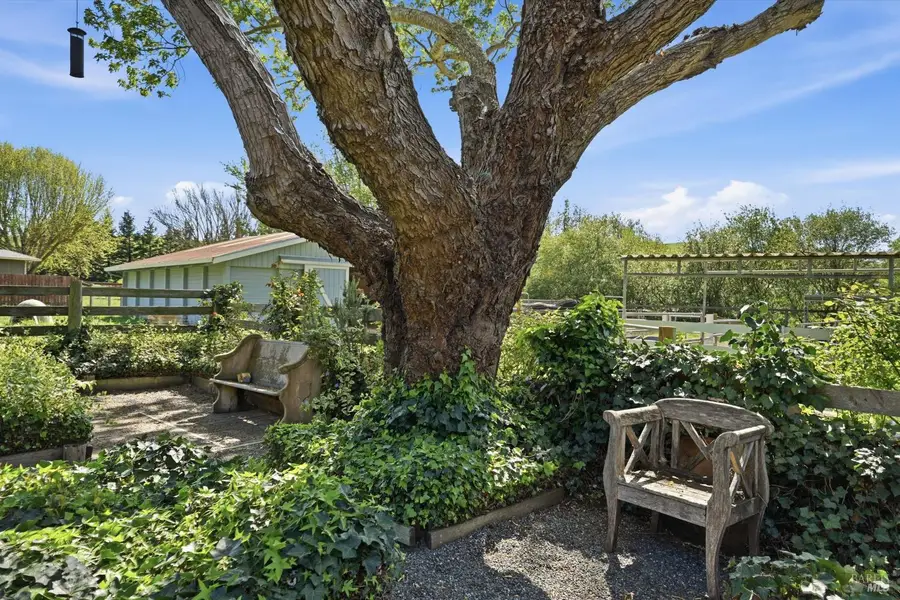 4320 Roblar Road, Petaluma, CA 94952 - #3