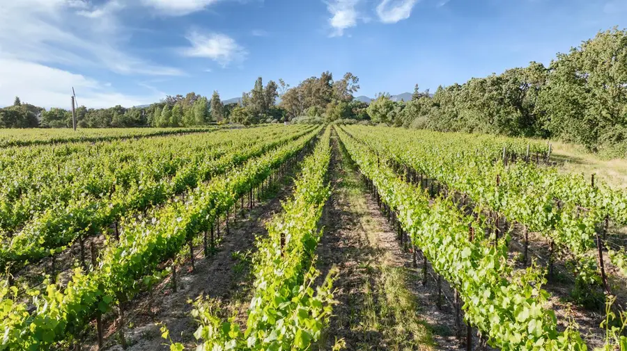 570 E Watmaugh Road, Sonoma, CA 95476 - #2