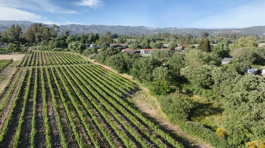 570 E Watmaugh Road, Sonoma, CA 95476 - #3