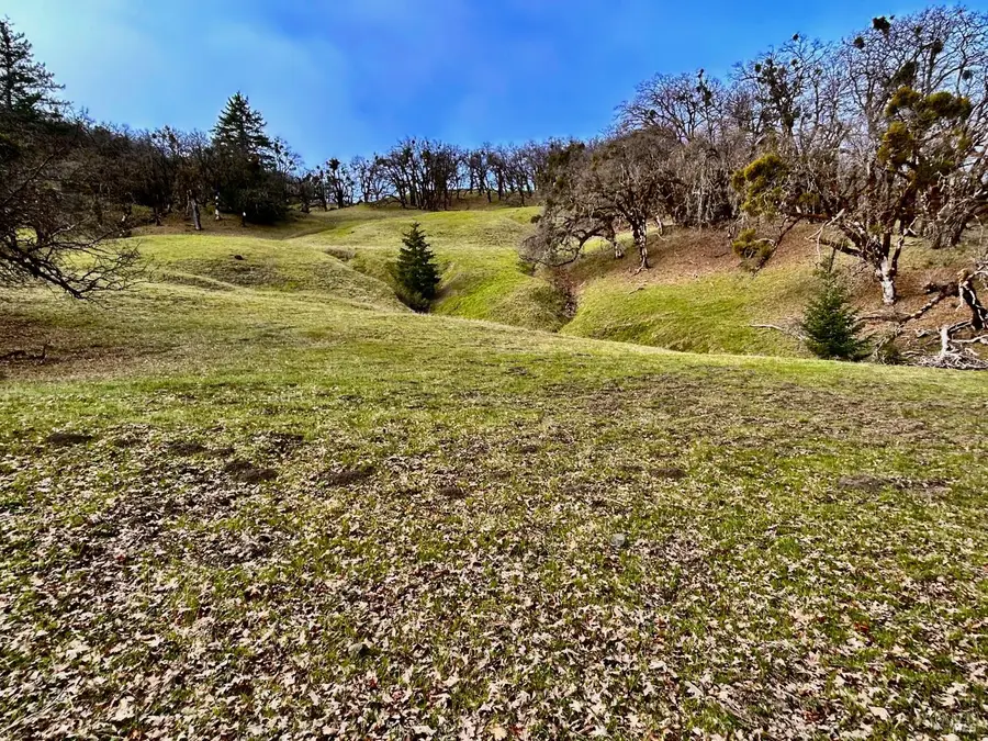 74000 Island Mountain Road, Laytonville, CA 95454 - #2