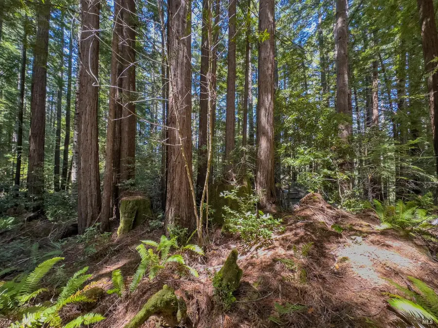 36505 Deep Woods Drive, The Sea Ranch, CA 95497 - #3