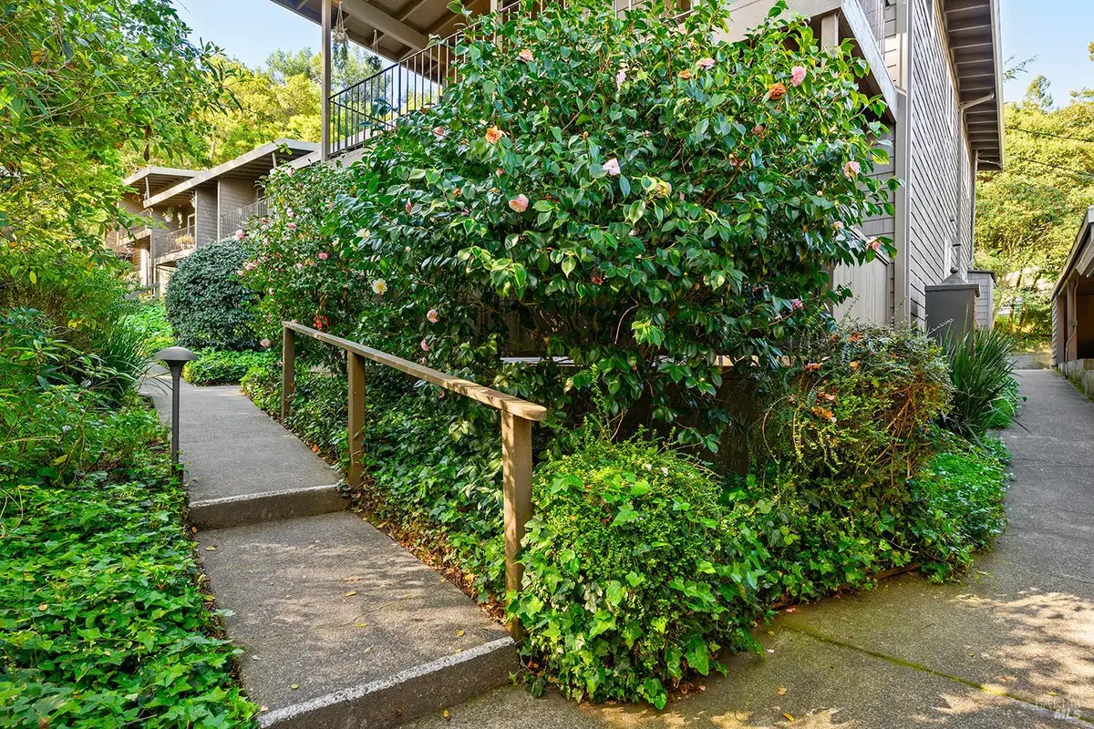 1411 Casa Buena Drive #31, Corte Madera, CA 94925 - #1