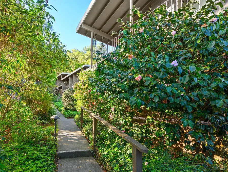1411 Casa Buena Drive #31, Corte Madera, CA 94925 - #2