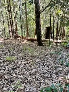 388 Moonraker Road, The Sea Ranch, CA 95497