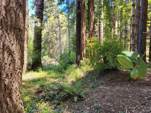 315 Chinquapin Lane, The Sea Ranch, CA 95497