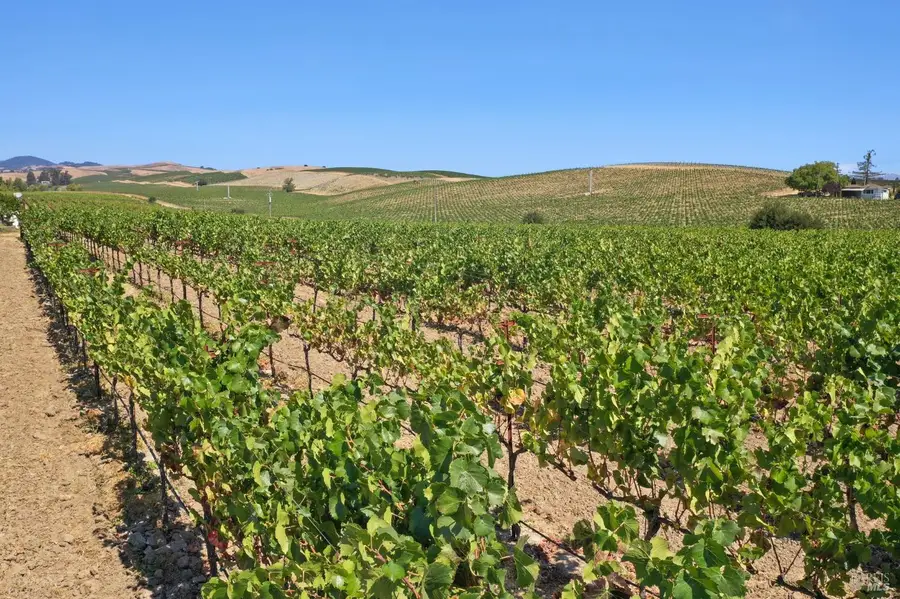 5267 Old Sonoma Road, Napa, CA 94559 - #3