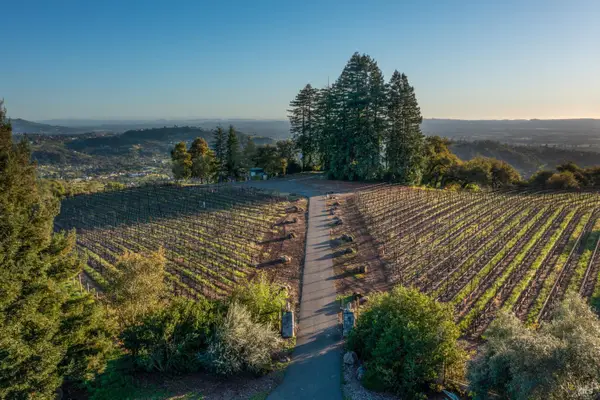 1960 Redwood Hill Court, Santa Rosa, CA 95404