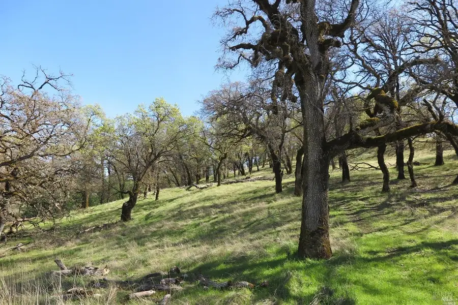 12950 Eagle Rock Road, Hopland, CA 95449 - #3