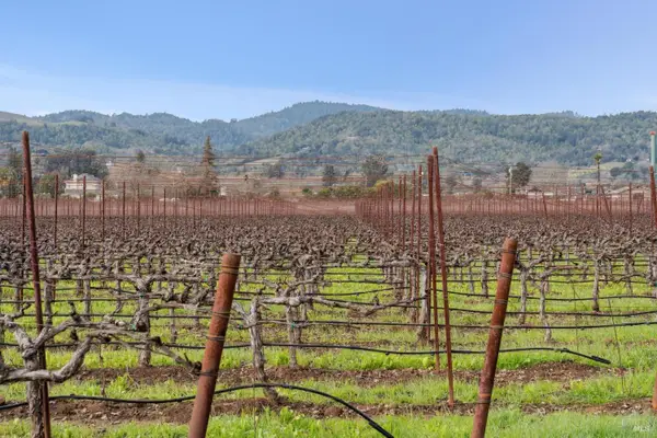 1076 Orchard Avenue, Napa, CA 94558