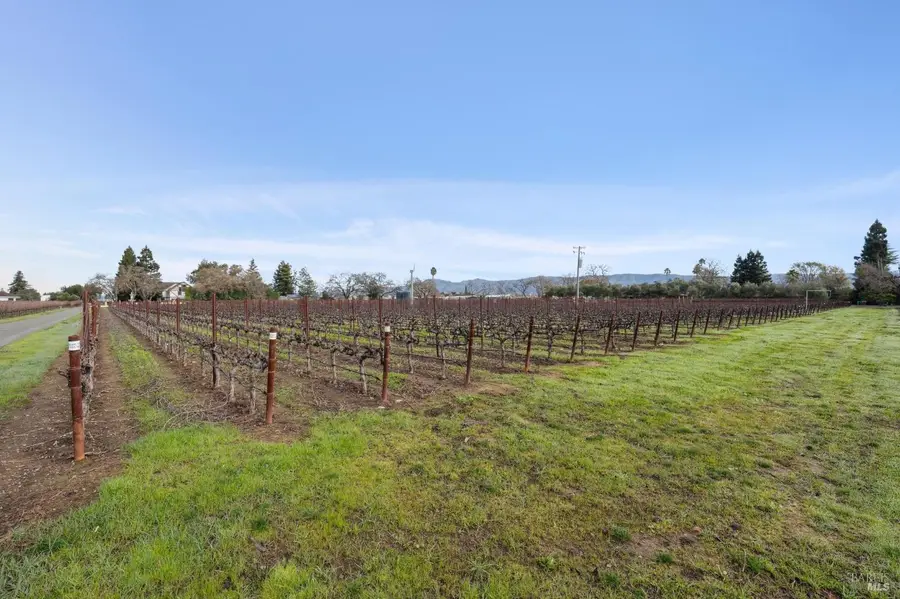 1076 Orchard Avenue, Napa, CA 94558 - #2