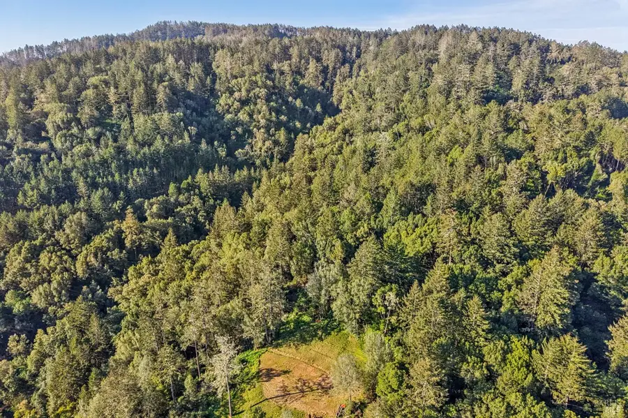 70 Fox Drive, Point Reyes Station, CA 94956 - #3