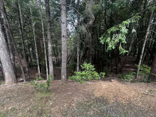 1572 Camellia Place, Willits, CA 95490