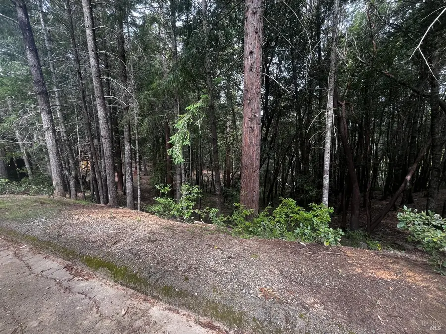 1572 Camellia Place, Willits, CA 95490 - #2