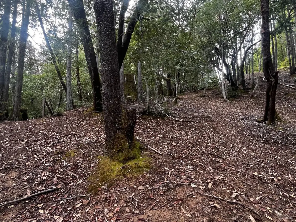 1921 Clover Drive, Willits, CA 95490 - #1