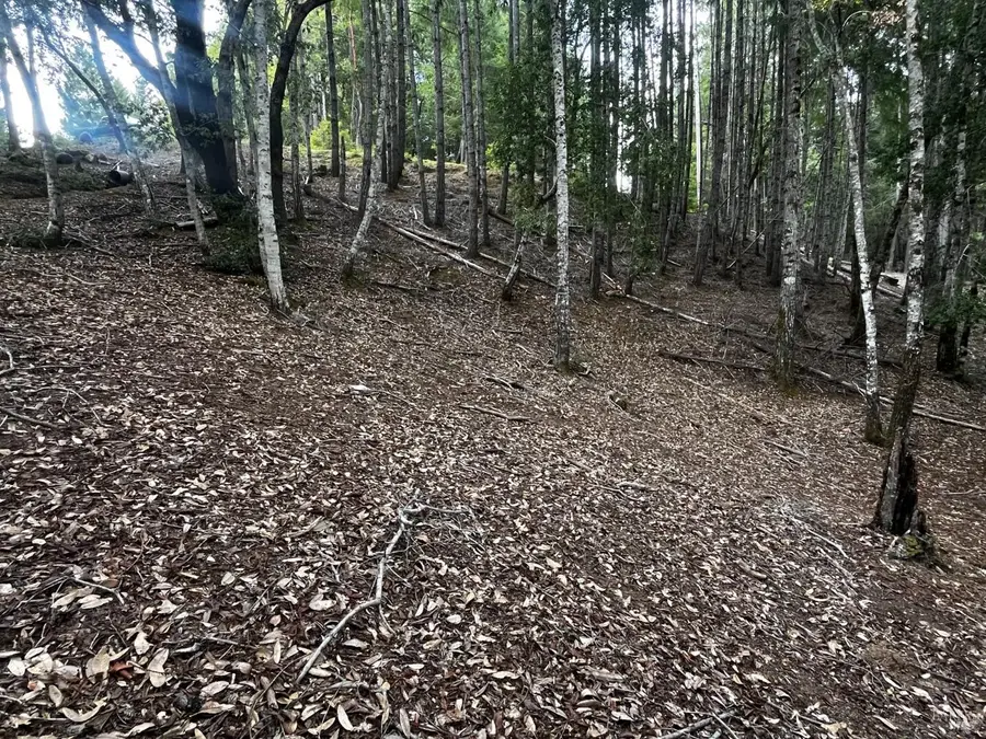 1921 Clover Drive, Willits, CA 95490 - #3