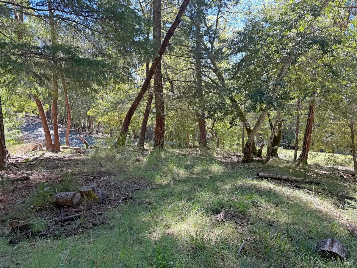 25940 Poppy Place, Willits, CA 95490 - #1