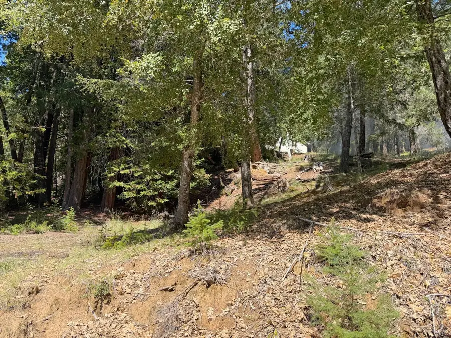 25940 Poppy Place, Willits, CA 95490 - #2