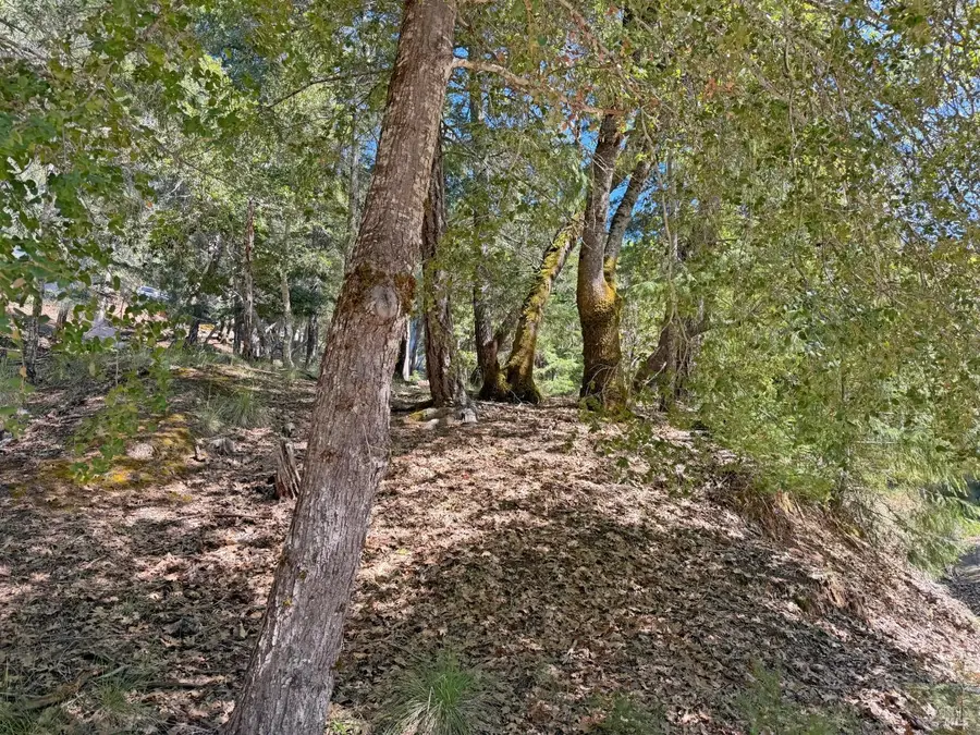 25940 Poppy Place, Willits, CA 95490 - #3